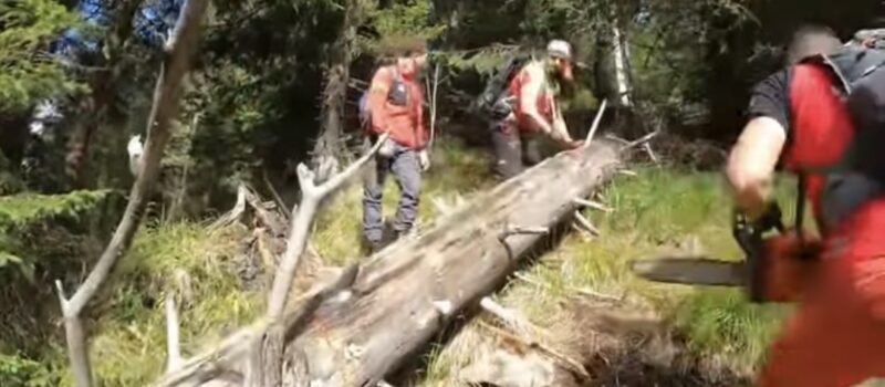 Traseele montane, mai sigure: Salvamont Dâmbovița și voluntarii au intervenit pe traseul Podul cu Florile – Cantonul Brătei