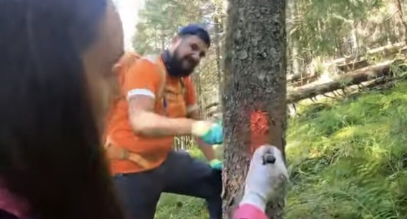 Traseele montane, mai sigure: Salvamont Dâmbovița și voluntarii au intervenit pe traseul Podul cu Florile – Cantonul Brătei