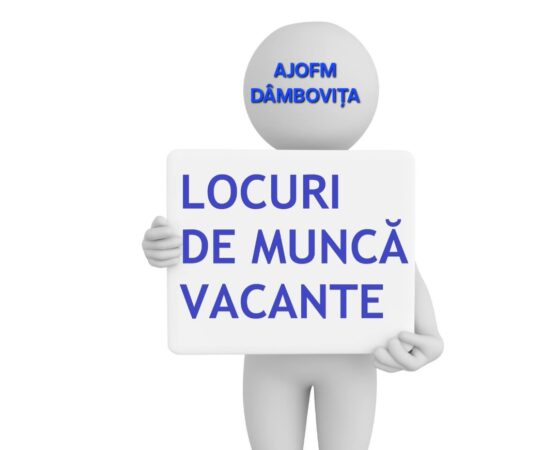 Peste 390 de locuri de muncă disponibile în județul Dâmbovița: Cele mai multe oferte sunt pentru meserii în construcții, vânzări și producție