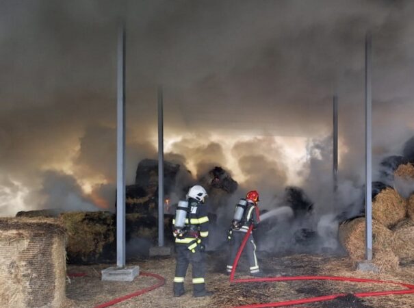 1.500 kg de plante furajere mistuite de flăcări
