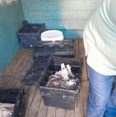 DSVSA Dâmbovița anunță controale stricte la târgurile de toamnă: Comercianții au nevoie de aviz temporar de funcționare