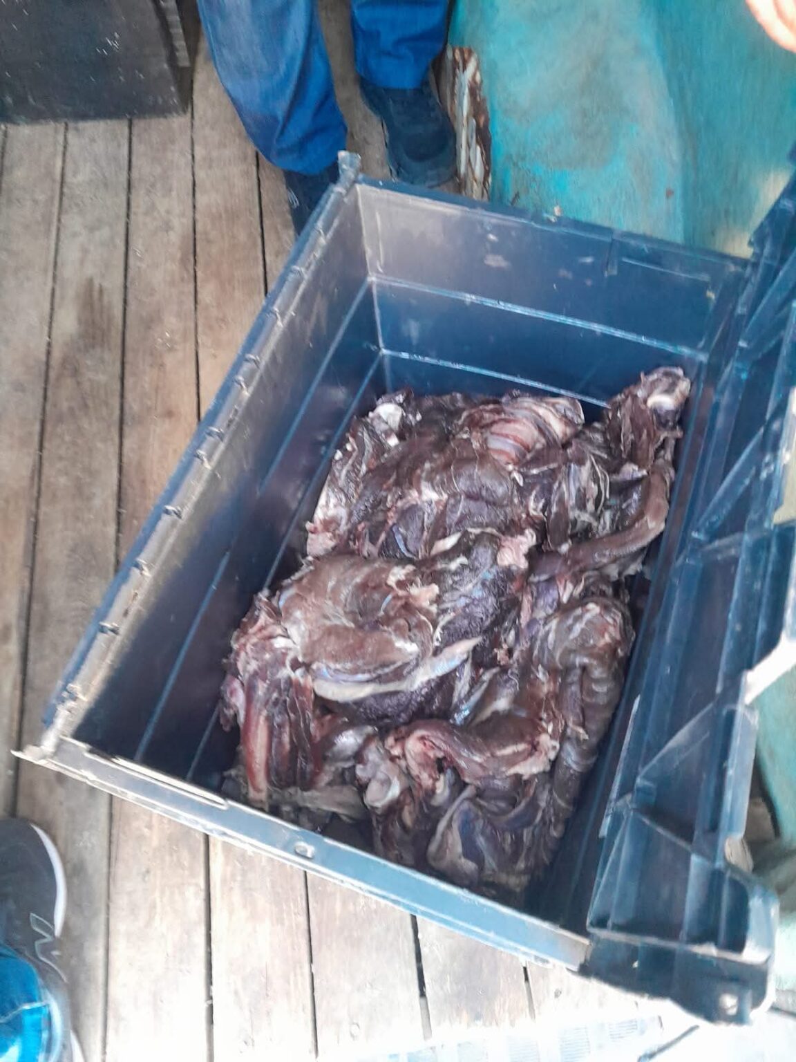 DSVSA Dâmbovița: Controale drastice la Titu,  pastramă de oaie confiscată pentru nereguli