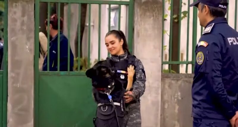 Echipe canine ale Poliției, prezente în proximitatea liceelor din județ pentru siguranța elevilor