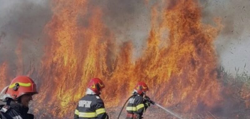 Flăcări scăpate de sub control la Frasinu Flăcări scăpate de sub control la Frasinu