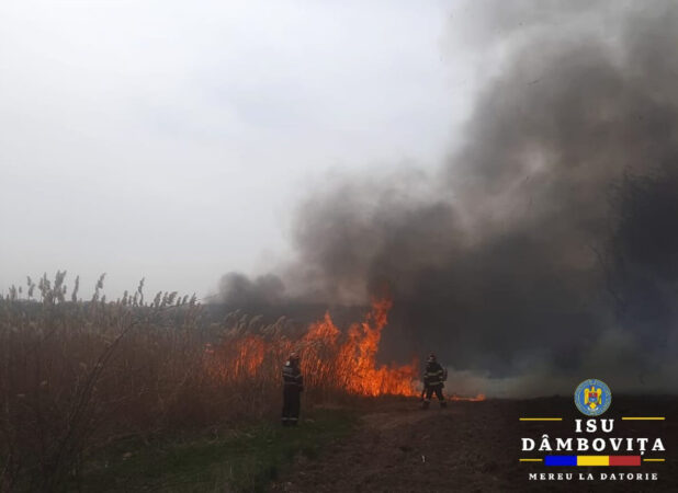 Incendii de vegetație uscată în Tărtășești și Târgoviște