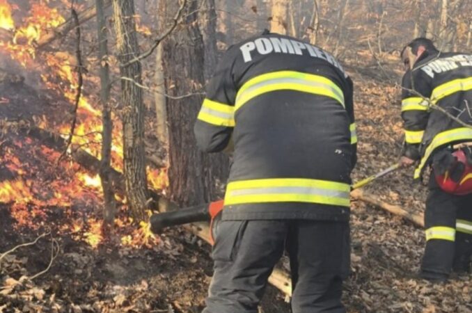 Incendiu extins de vegetație și litieră în comuna Ludești, pompierii au intervint pe o suprafață de peste 6 hectare