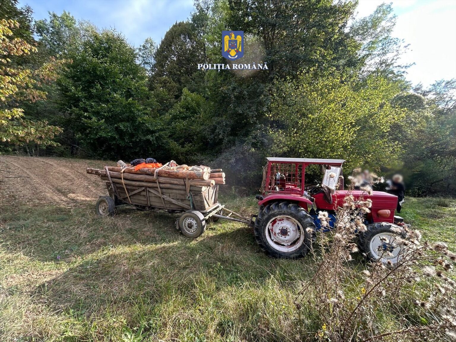 Jaf în pădurile din Dâmbovița