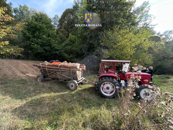 Jaf în pădurile din Dâmbovița Jaf în pădurile din Dâmbovița