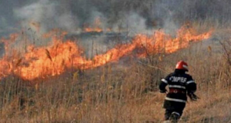 Prăpăd în Voia și Teiș: 4 hectare de vegetație mistuite de flăcări