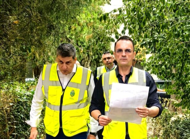 Primăria Târgoviște a lansat campania gratuită de sterilizare a câinilor cu stăpân