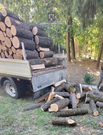 Transport ilegal de lemne, depistat de polițiștii dâmbovițeni la Braniștea