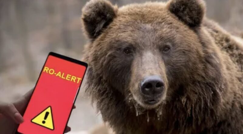 Urs semnalat la Valea Leurzii , autoritățile au intervenit: Populația avertizată prin RO-Alert Urs semnalat la Valea Leurzii , autoritățile au intervenit: Populația avertizată prin RO-Alert