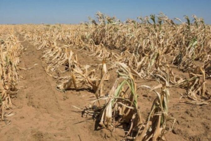  Vara catastrofală a anului 2025: Europa, lovită de secetă, inundații și valuri de căldură – pierderi uriașe de peste 126 miliarde €