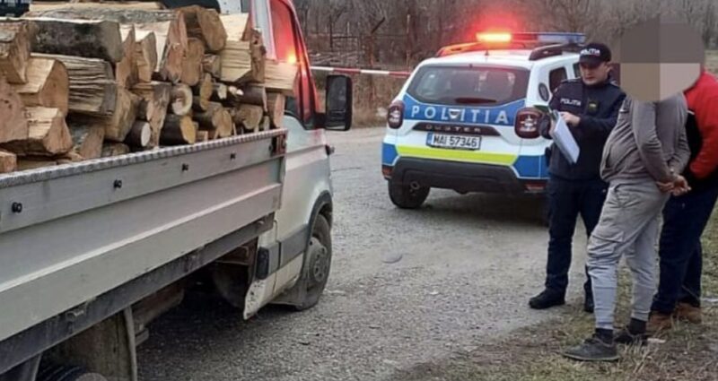 Poliția ia  măsuri împotriva tăierilor ilegale de lemn în județul Dâmbovița