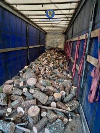 Șofer depistat cu lemne fără acte și tahograf fraudulos 