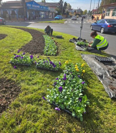 Târgoviște, orașul care înflorește și toamna: Primăria continuă lucrările de întreținere a spațiilor verzi și plantare de flori