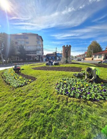 Târgoviște, orașul care înflorește și toamna: Primăria continuă lucrările de întreținere a spațiilor verzi și plantare de flori
