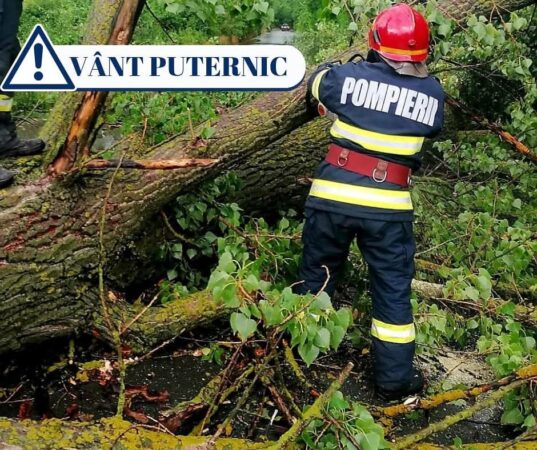 Vânt puternic în județul Dâmbovița: Recomandări pentru prevenirea situațiilor de urgență Vânt puternic în județul Dâmbovița: Recomandări pentru prevenirea situațiilor de urgență