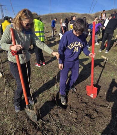 1.550 de puieți de salcâm plantați la Șotânga, într-o amplă acțiune dedicată mediului