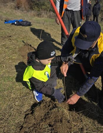 1.550 de puieți de salcâm plantați la Șotânga, într-o amplă acțiune dedicată mediului