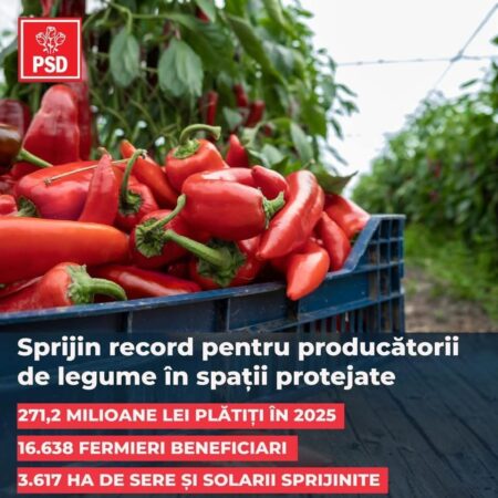 271,2 milioane de lei pentru legumicultorii români în 2025 – sprijin record pentru sere și solarii
