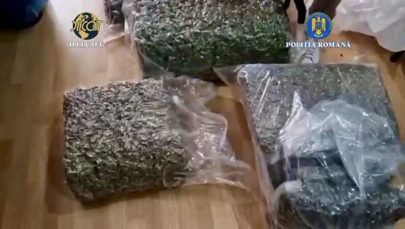 41 de kilograme de droguri aduse din Spania, depistate în Dâmbovița