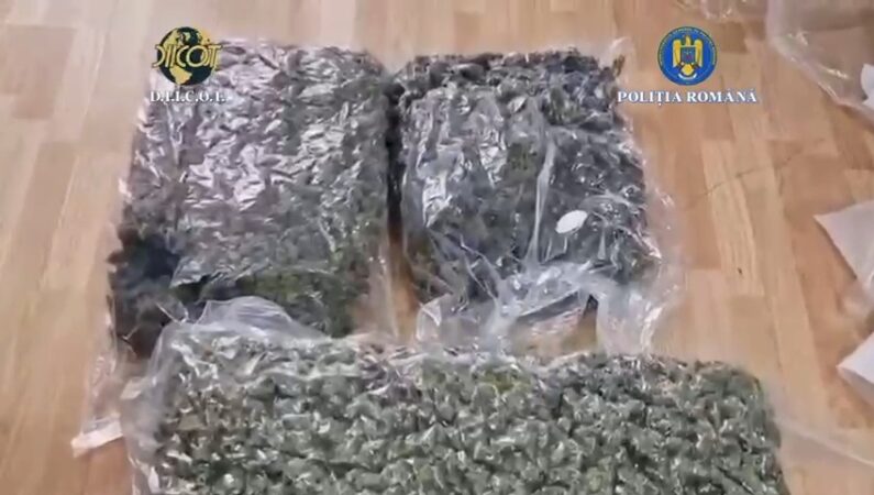 41 de kilograme de droguri aduse din Spania, depistate în Dâmbovița