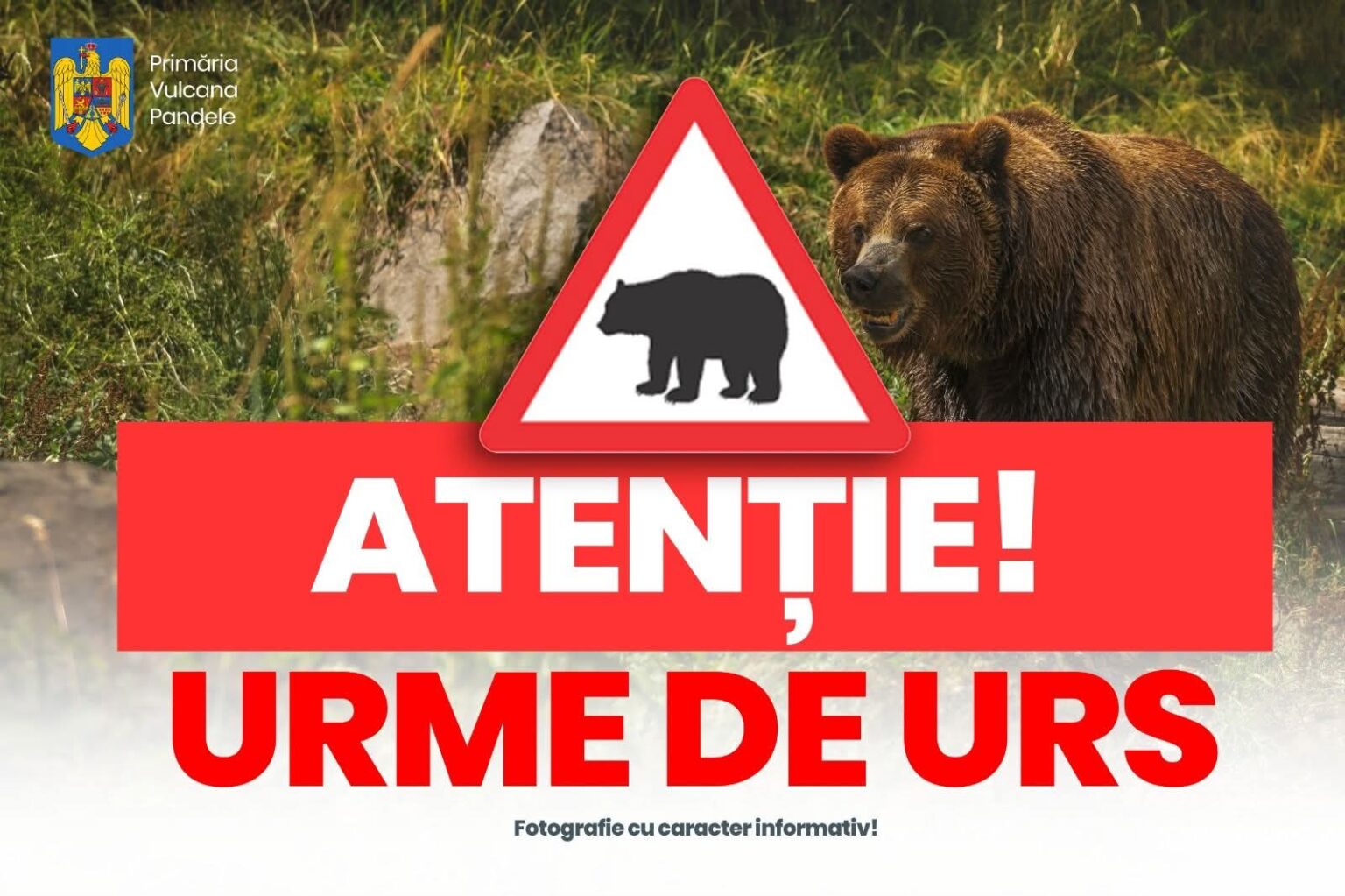 ALERTĂ DE URS ÎN COMUNA VULCANA PANDELE!: AUTORITĂȚILE LE CER CETĂȚENILOR PRUDENȚĂ MAXIMĂ ÎN ZONELE ÎMPĂDURITE