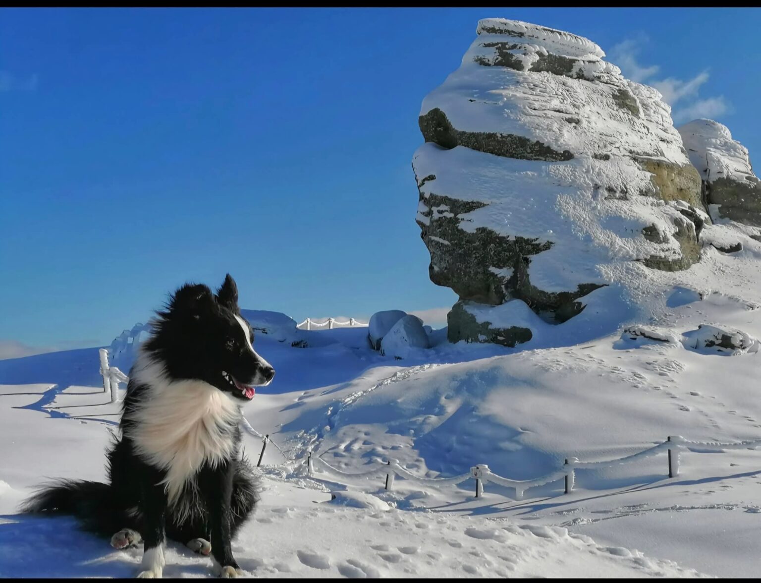 AVERTISMENT DE ULTIMĂ ORĂ DE LA AUTORITĂȚI AVERTISMENT DE ULTIMĂ ORĂ DE LA AUTORITĂȚI