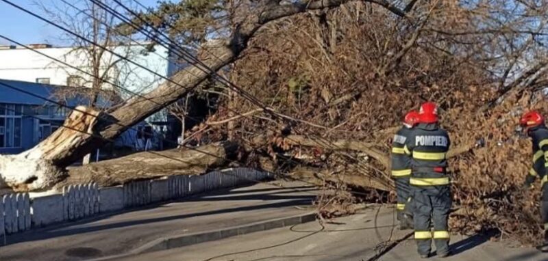COD GALBEN DE VÂNT PUTERNIC ÎN ÎNTREG JUDEȚUL DÂMBOVIȚA COD GALBEN DE VÂNT PUTERNIC ÎN ÎNTREG JUDEȚUL DÂMBOVIȚA