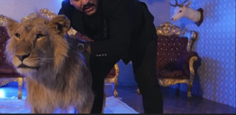 Evaziune fiscală: Peste 1,6 milioane lei neachitați la stat de către un artist de petrecere Evaziune fiscală: Peste 1,6 milioane lei neachitați la stat de către un artist de petrecere