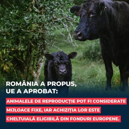 Fermierii români, beneficiază de o nouă facilitate în Politica Agricolă Comună: Achiziția de animale și material genetic, eligibilă pentru fonduri europene