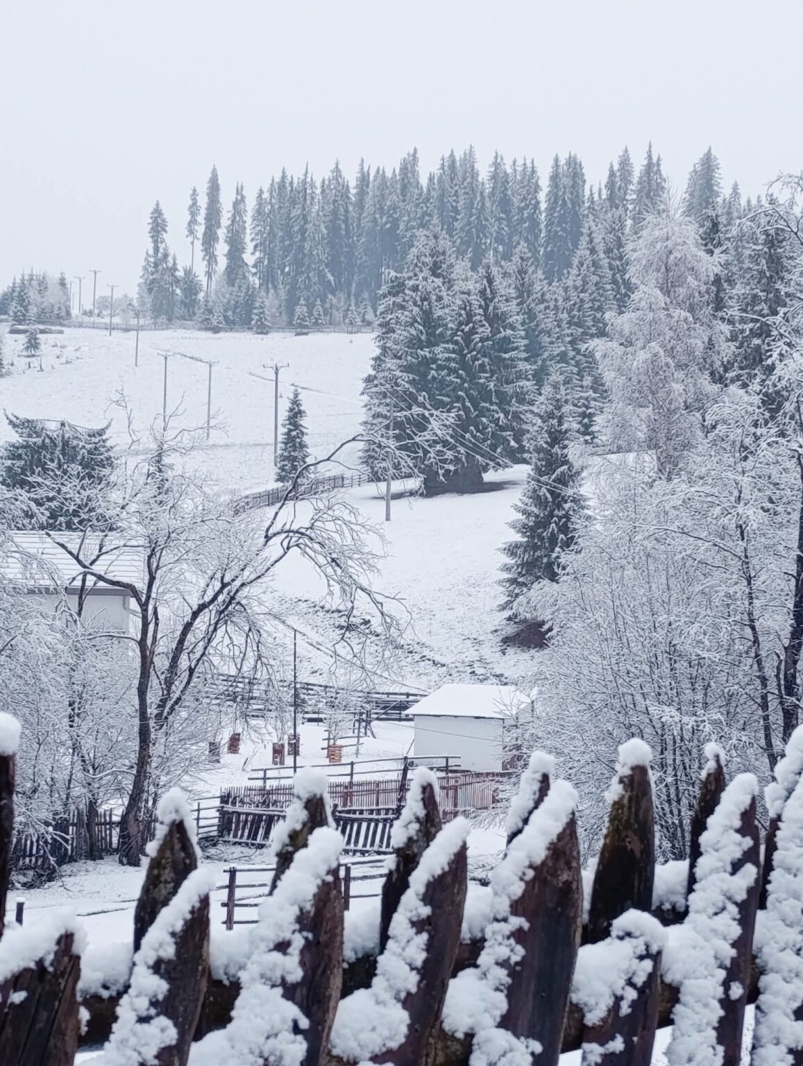 Iarna, un basm la Mănăstirea Orata 