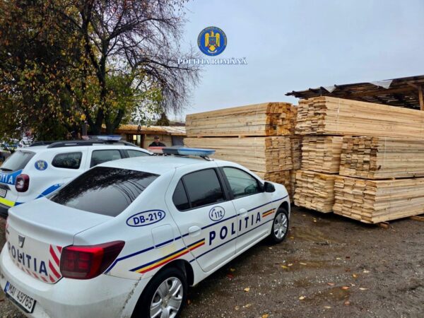 Mafia lemnului este în vizorul polițiștilor dâmbovițeni 