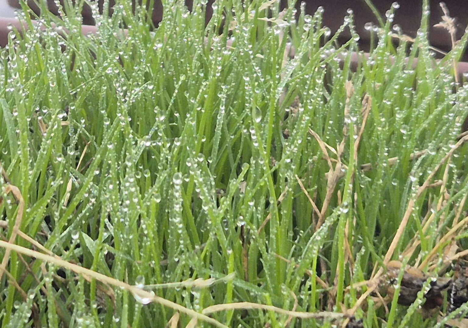 Ploi, vânt puternic și răcire accentuată în zonele joase,  ninsori și viscol la munte, între 17 și 23 noiembrie