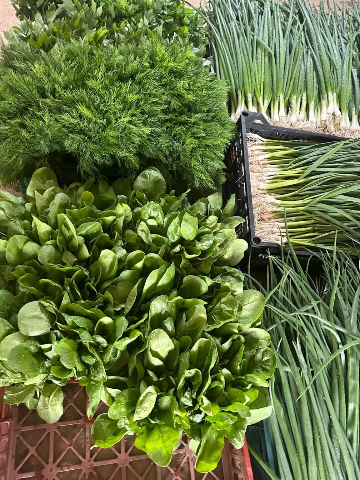 Prăpădul fiscal: Legumele se vor scumpi în 2026, fermierii sunt afectați de noile taxe fiscale