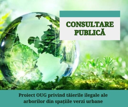 Tăierea arborilor din spațiile verzi urbane ar putea deveni infracțiune:  Ministerul Mediului propune pedepse penale pentru intervențiile abuzive