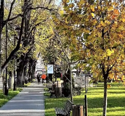 Târgoviște își pregătește orașul pentru iarnă, acțiuni intense de curățenie și întreținere a spațiilor verzi