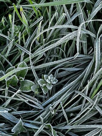  VREMEA RECE PUNE STĂPÂNIRE PE JUDEȚUL DÂMBOVIȚA!