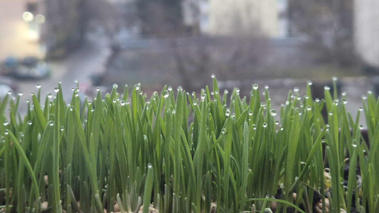  Atenție pentru persoanele cu imunitate compromisă: Frig, umezeală forte mare și risc de răceli și gripă 