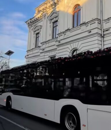  Autobuzul lui Moș Crăciun a adus primii colindători la Primăria Târgoviște 
