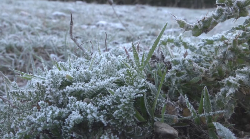 Avertizare meteo: România intră într-un episod de răcire accentuată după 14 decembrie Avertizare meteo: România intră într-un episod de răcire accentuată după 14 decembrie
