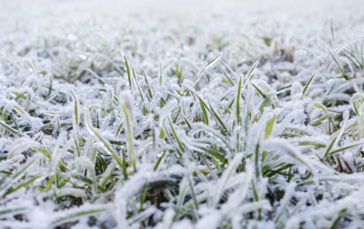 Avertizare meteo: Ceață, burniță, ninsoare și răcire accentuată la Târgoviște 