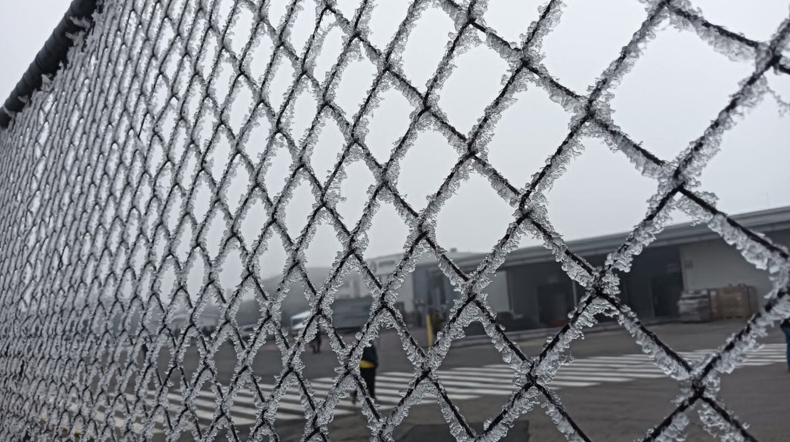 Ger, umiditate foarte mare și ceață densă