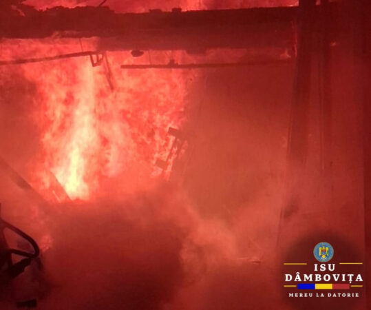 Iadul flăcărilor într-o gospodărie din Tătărani