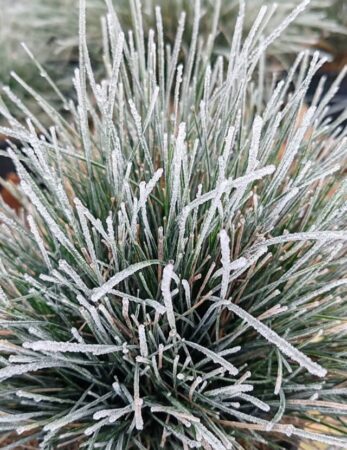 Mare atenție! În următoarele zile vin ninsori, ger și vânt puternic, inclusiv  în județul Dâmbovița 