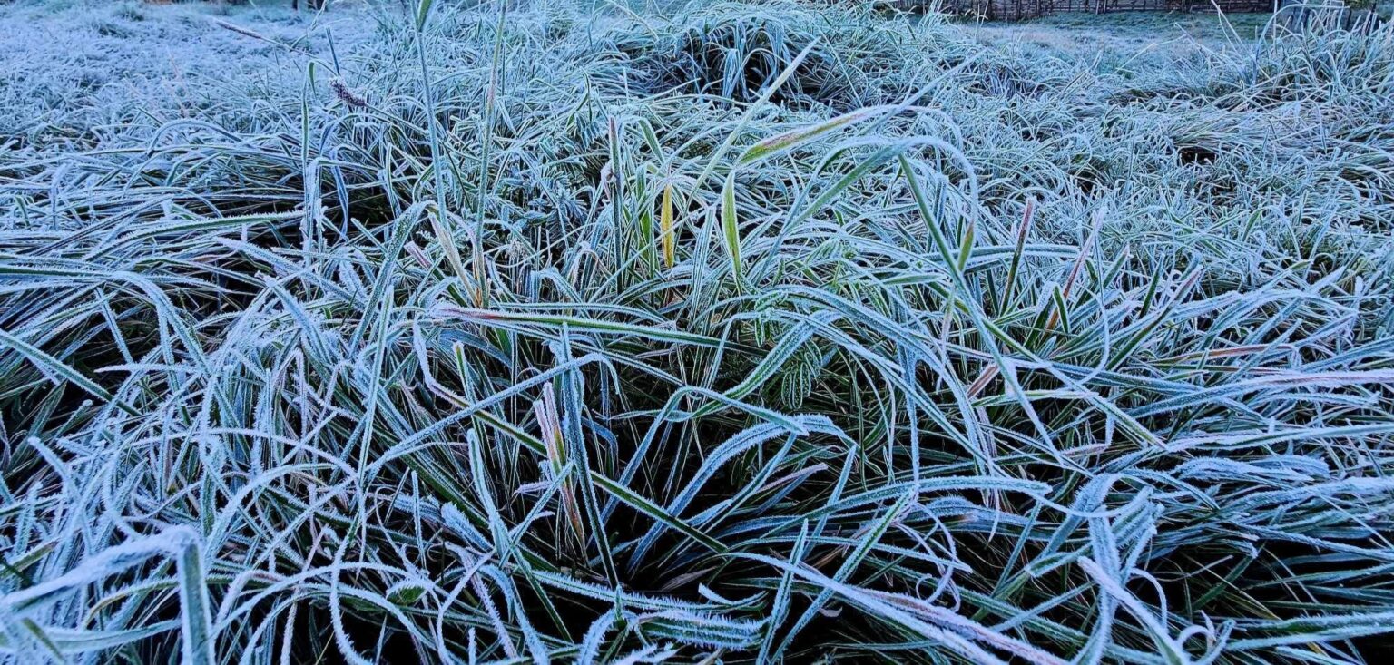 Ninge sau nu de Crăciun? Vremea ne ține cu sufletul la gură, iarna  bate la ușă 