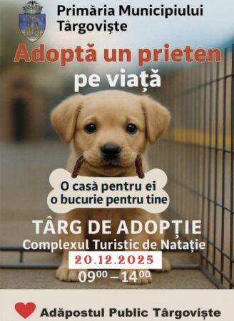 Târg de adopții pentru cățeluși la Târgoviște Târg de adopții pentru cățeluși la Târgoviște