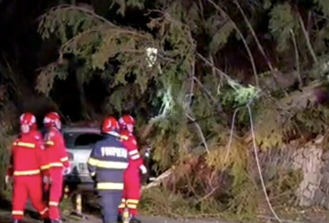 Vântul puternic face prăpăd în Dâmbovița: Pompierii au intervenit pentru degajarea copacilor căzuți