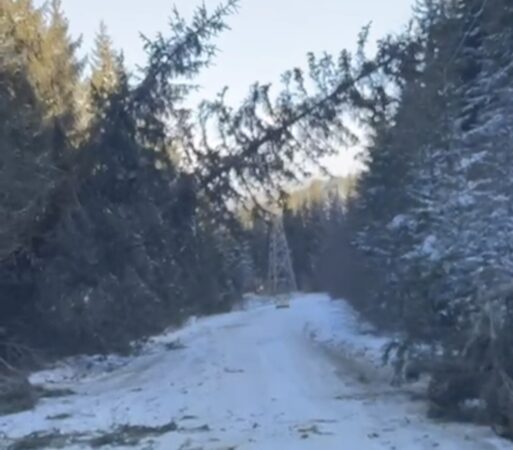 Vântul puternic a provocat pagube în zona montană a județului Dâmbovița, autoritățile au intervenit pentru remedierea situației